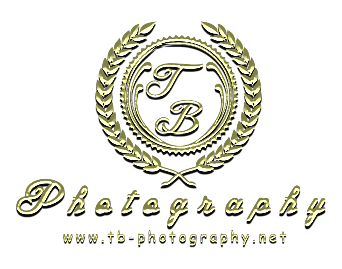 Header Shop Logo