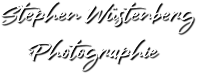 stephenwuestenbergphotographie Logo