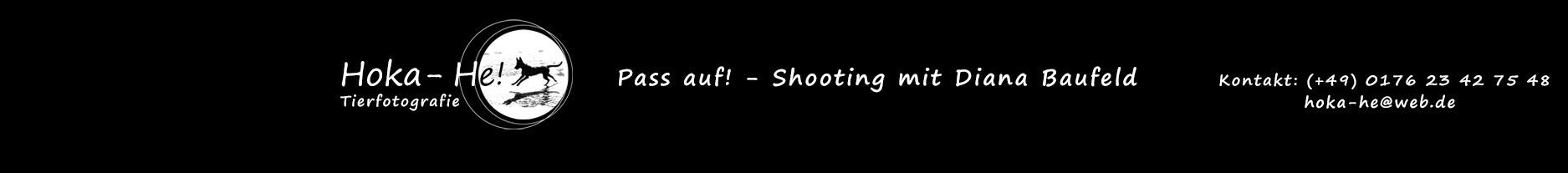 Header Shop Logo