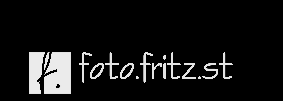 Header Shop Logo