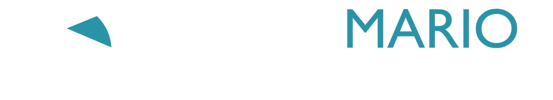 Header Shop Logo