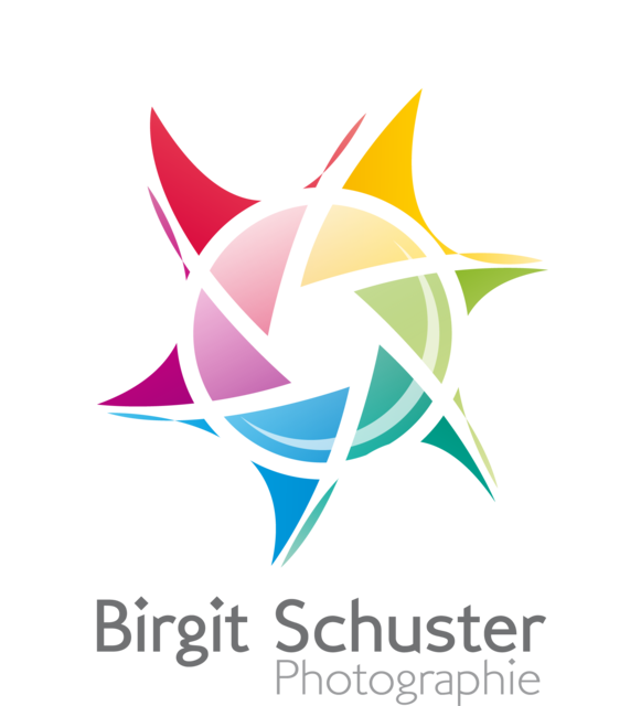 birgitschuster Logo