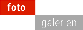 Header Shop Logo