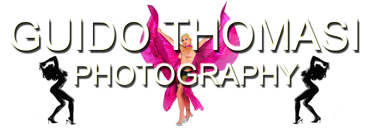Header Shop Logo