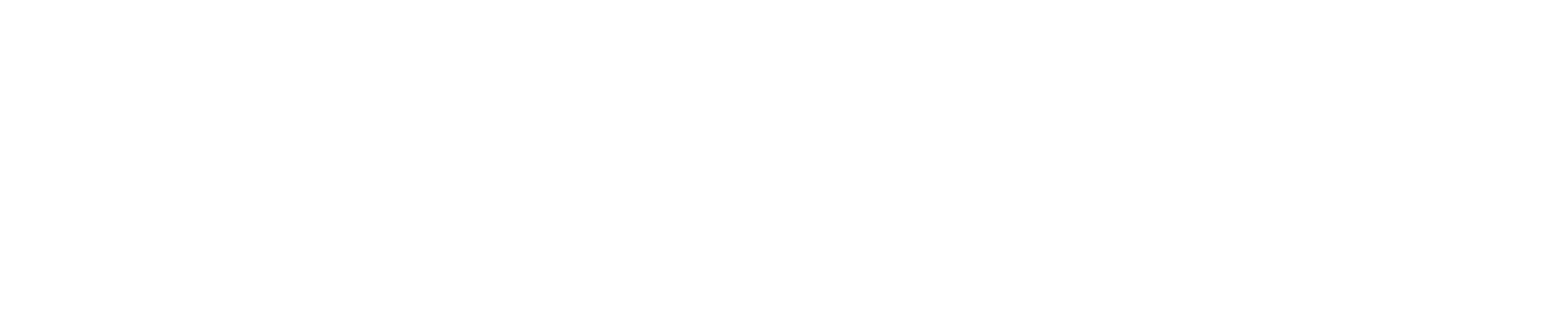 Header Shop Logo
