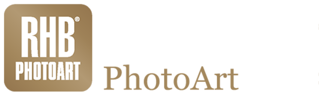 robert-helmut-biedermann Logo