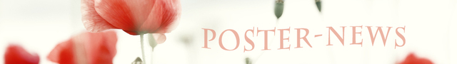 Poster News Logo