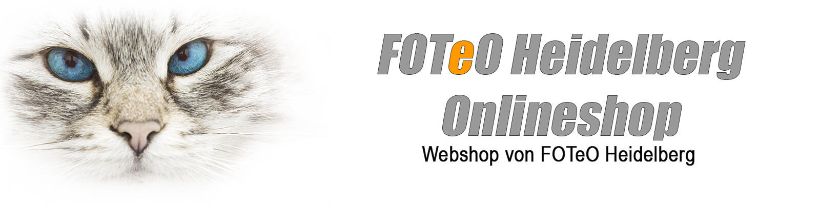 Header Shop Logo