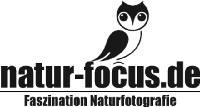 natur-focus Logo