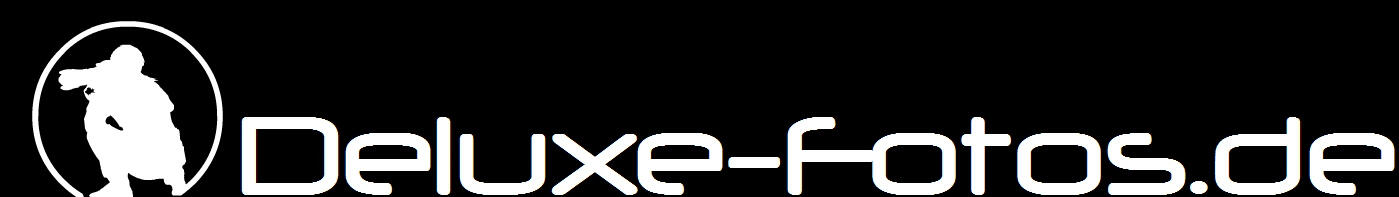 Header Shop Logo