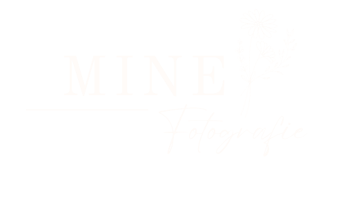 Header Shop Logo