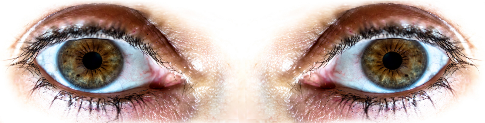 auge-klein.jpg