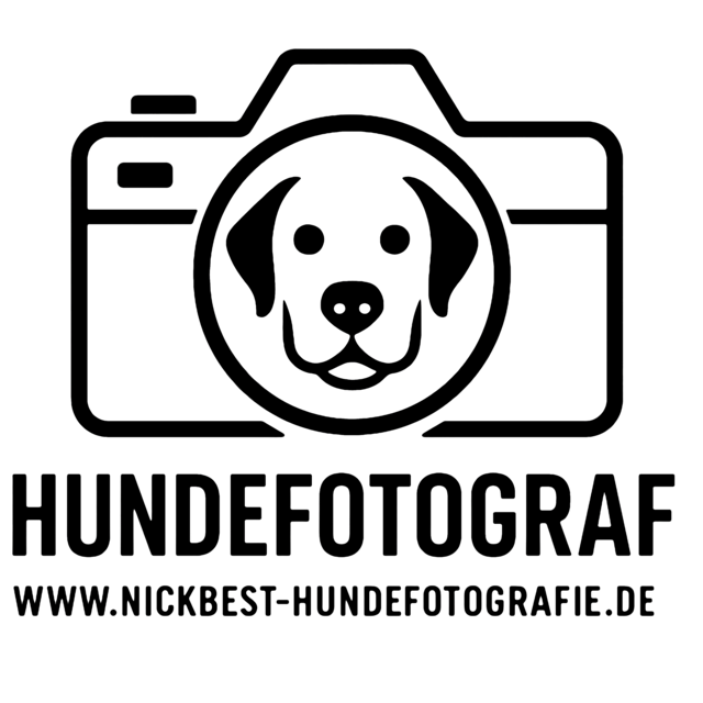 h2-nickbest-hundefotografie-bremen-nord-professionelle