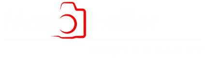 Header Shop Logo