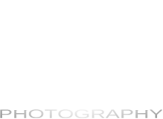 brixhood Logo