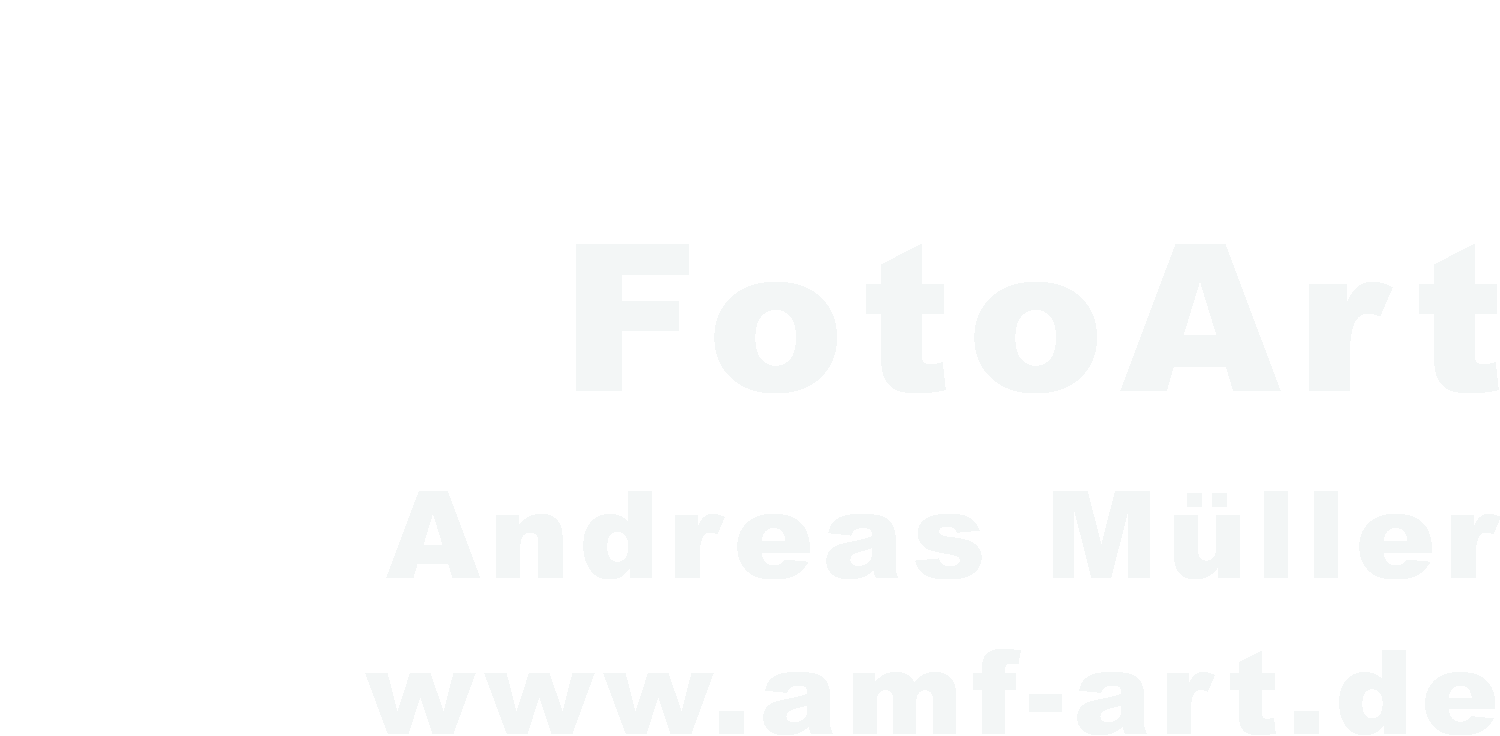 Header Shop Logo