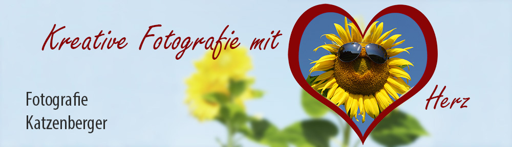 Banner_Grundbild_Sonnenblume_farbig_weich.jpg