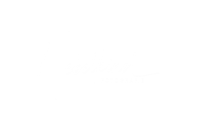 nebelkind Logo