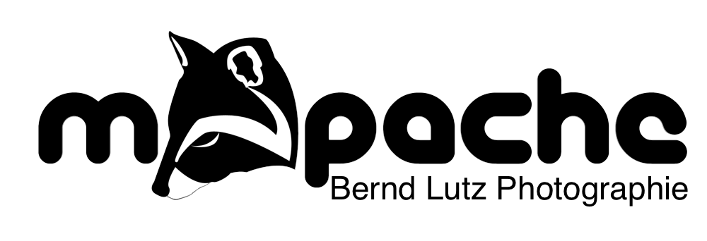 Header Shop Logo