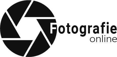 Header Shop Logo