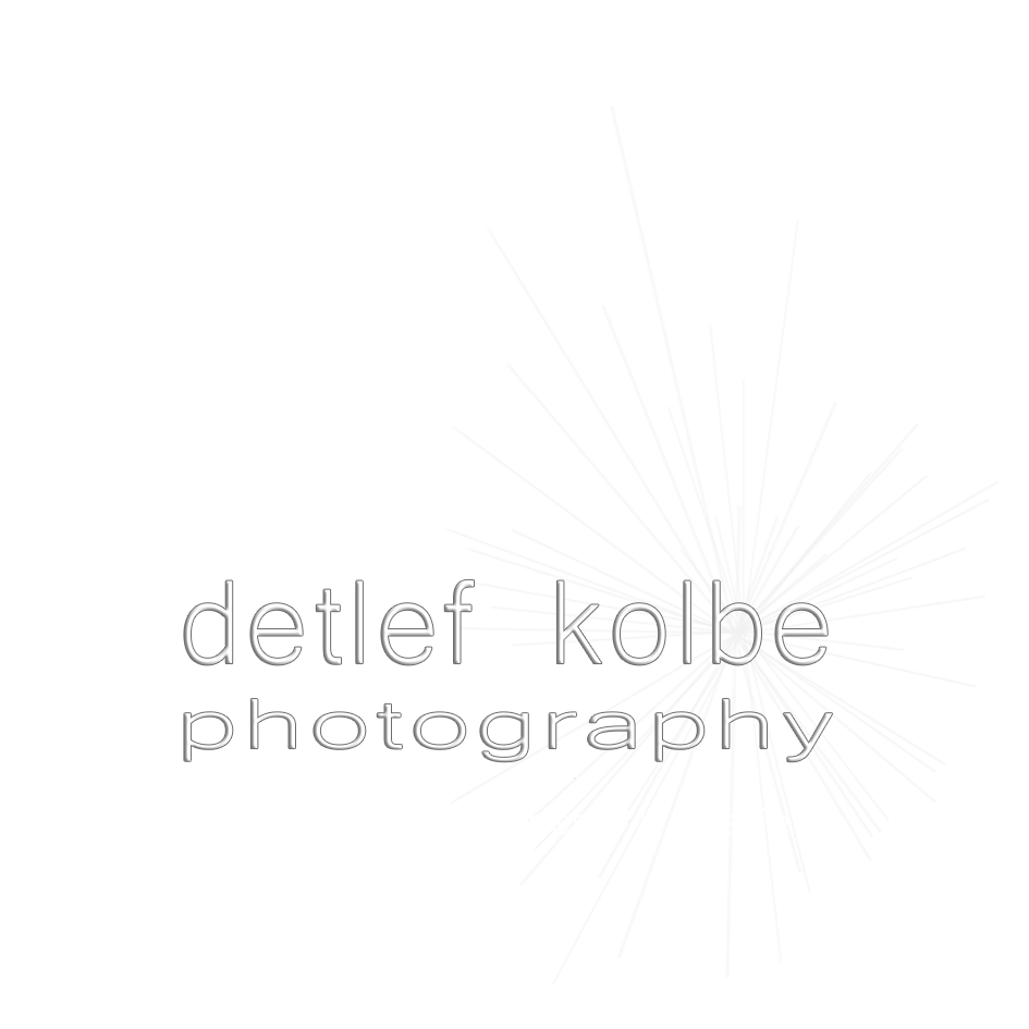 Header Shop Logo