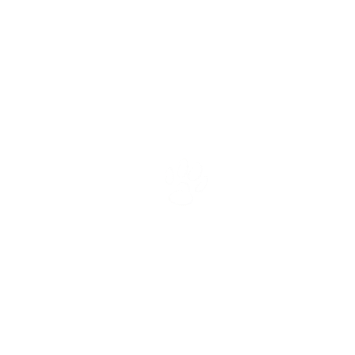 Header Shop Logo