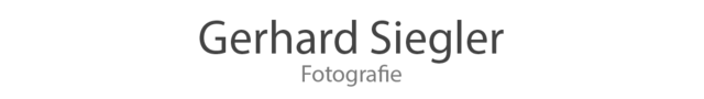 Gerhard Siegler Logo