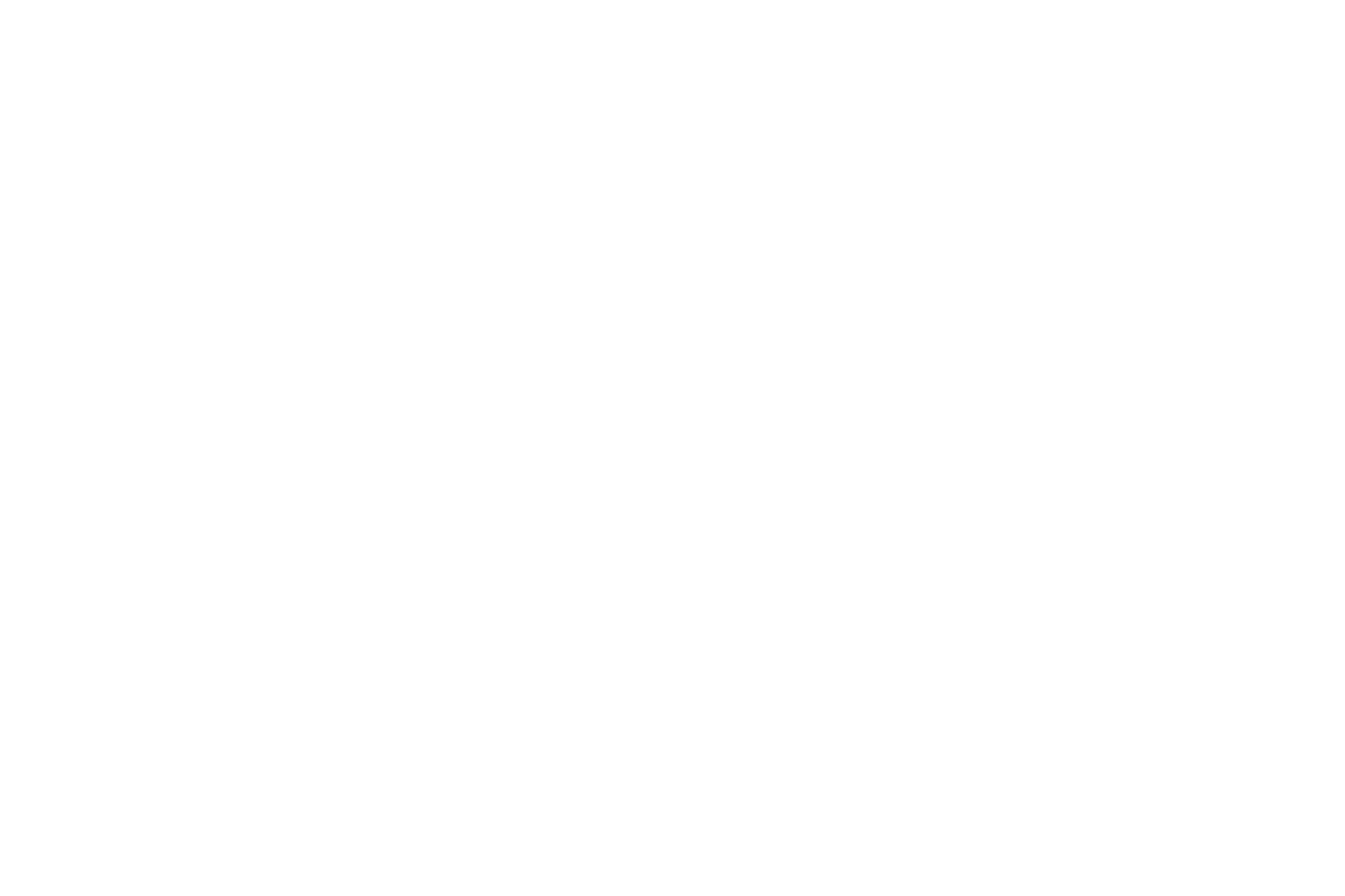 Header Shop Logo
