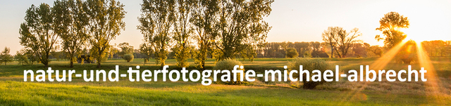 natur-und-tierfotografie-michael-albrecht Logo