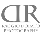 Header Shop Logo