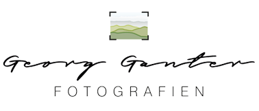Header Shop Logo