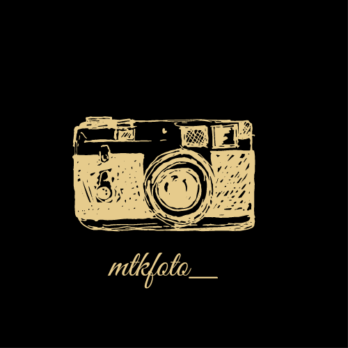 Header Shop Logo