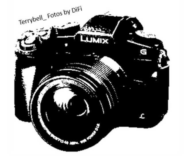 terrybell_ Fotos by DiFi Logo