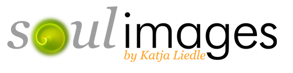 Header Shop Logo