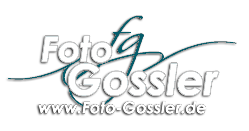 Header Shop Logo