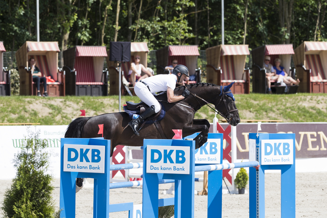 Dkb Pferdewoche Rostock 2018