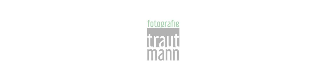 Header Shop Logo