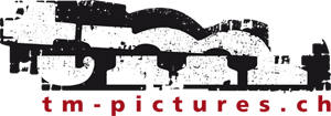 logo Kopie.png