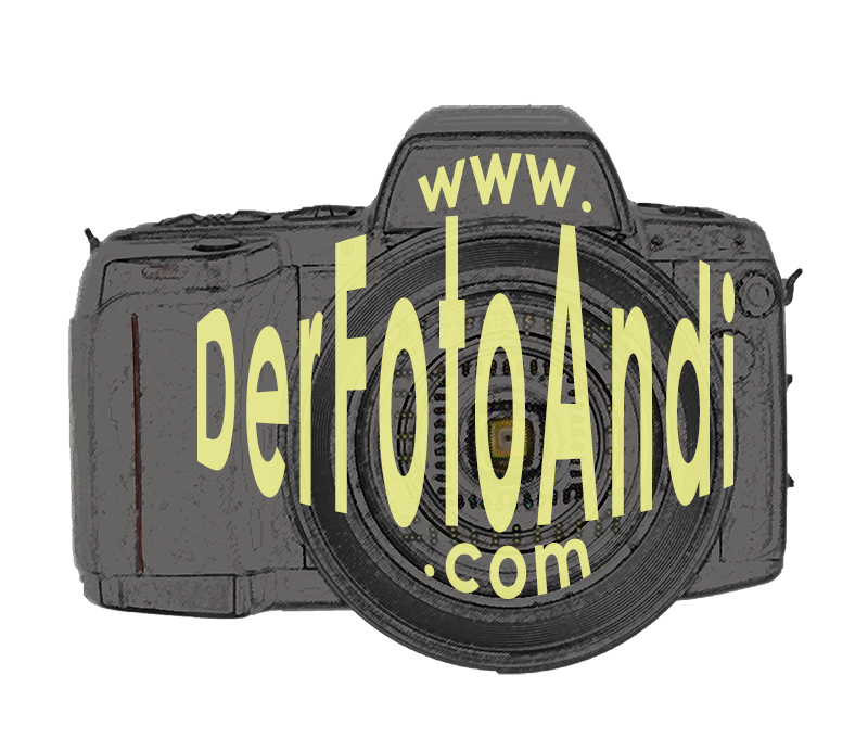 Header Shop Logo