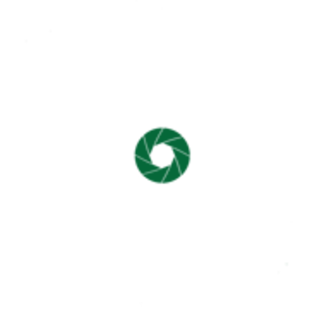 einblick-fotokunst Logo