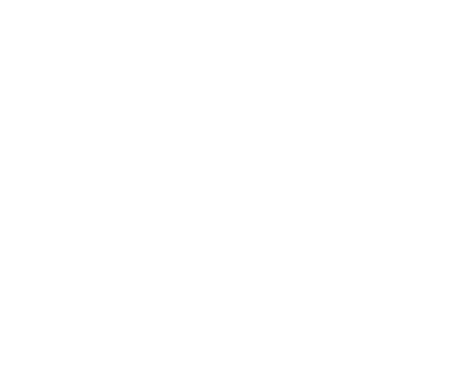 christianseitz Galerie Logo