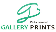 Header Shop Logo