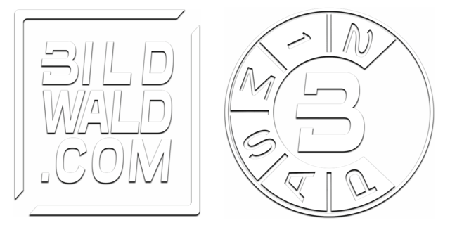 BILDWALD - the different view Logo