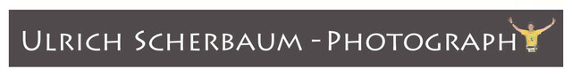 ulrichscherbaum Logo
