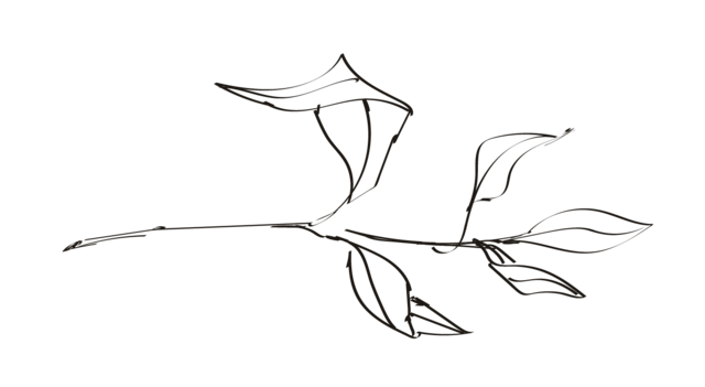 sandra-roth Logo