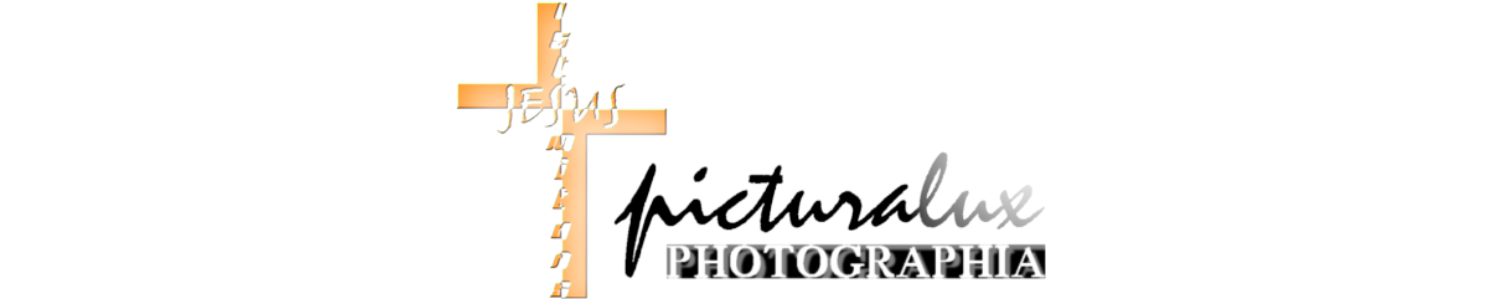 Header Shop Logo
