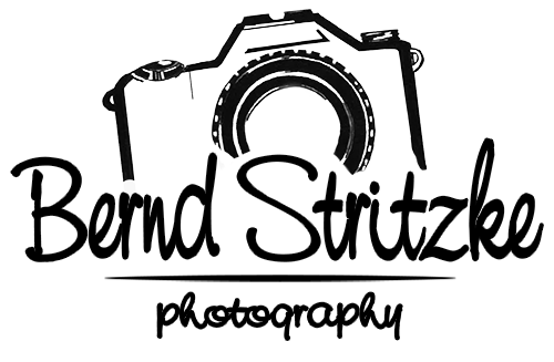 Header Shop Logo