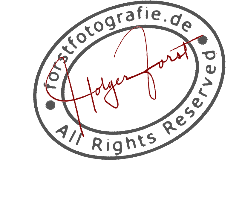 Header Shop Logo