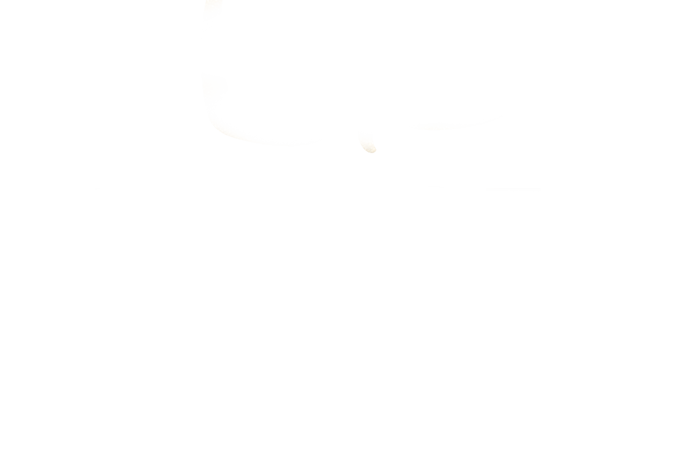 Header Shop Logo