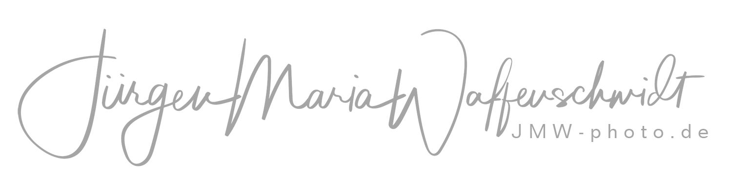 Header Shop Logo